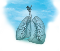 Pulmonares